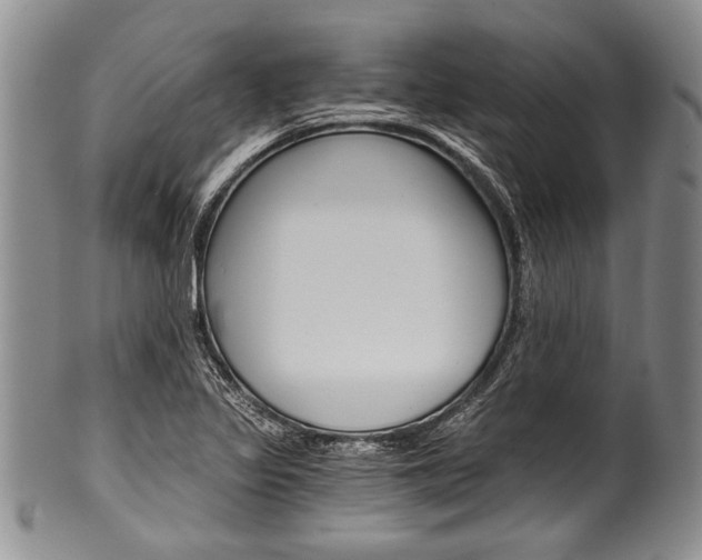 X0000101121317200806261036