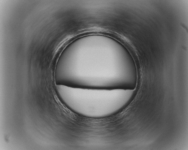 X0000101121318200806261036