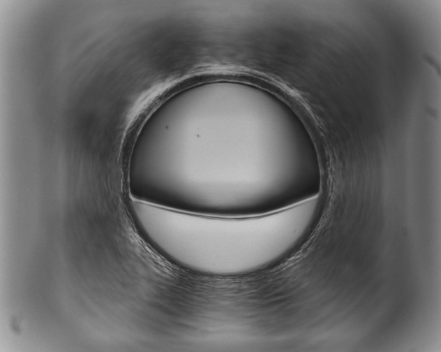 X0000101121319200806261036