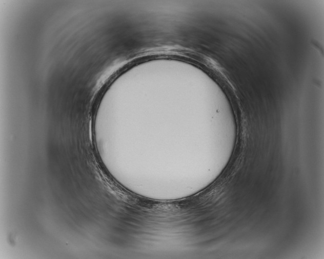 X0000101121320200806261036