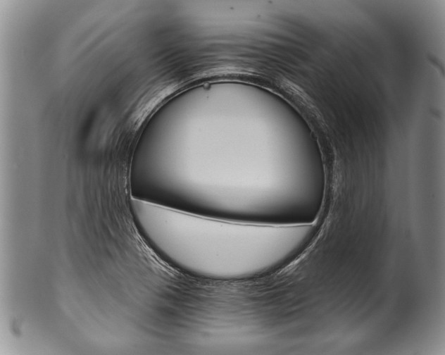 X0000101121321200806261036