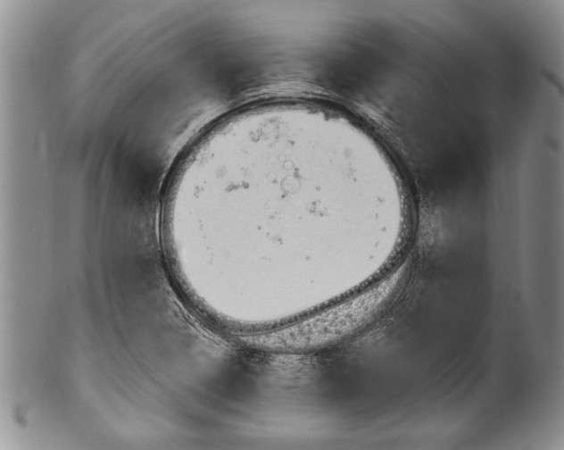 X0000101121322200806261036