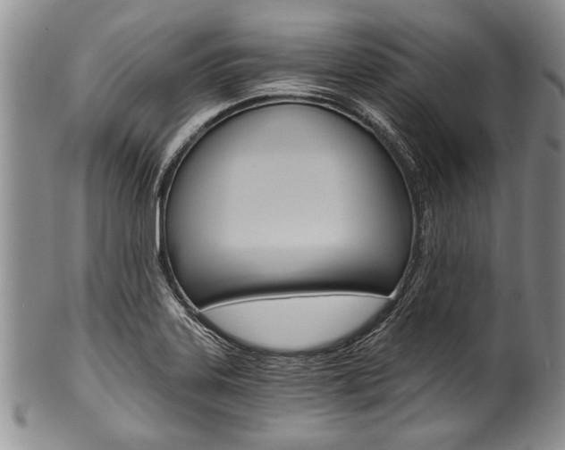 X0000101121323200806261036