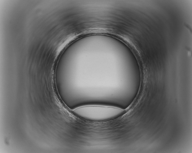 X0000101121325200806261036