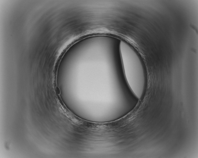 X0000101121326200806261036