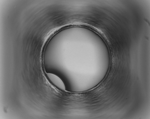 X0000101121327200806261036