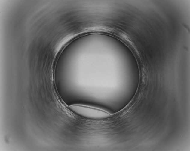 X0000101121328200806261036