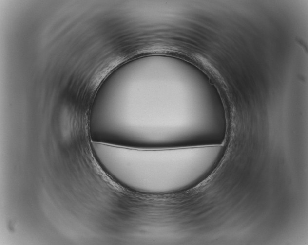 X0000101121329200806261036
