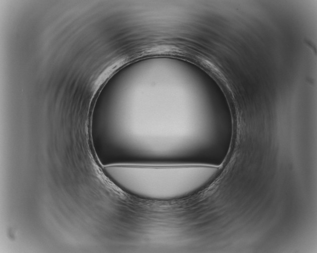 X0000101121330200806261036