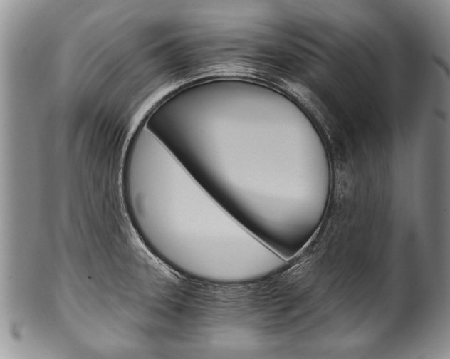 X0000101121331200806261036
