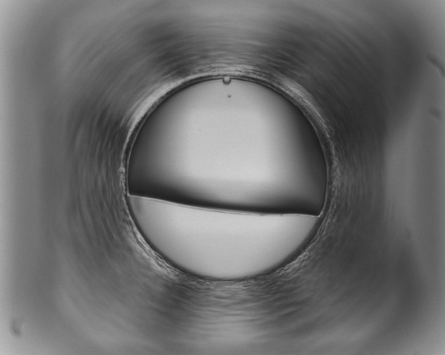 X0000101121332200806261036
