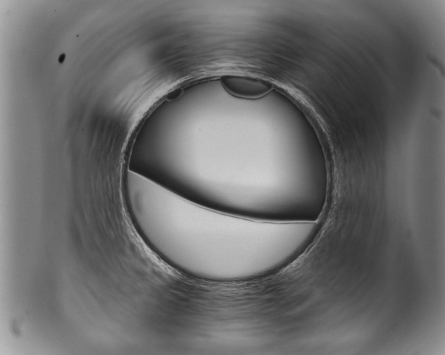 X0000101121333200806261036
