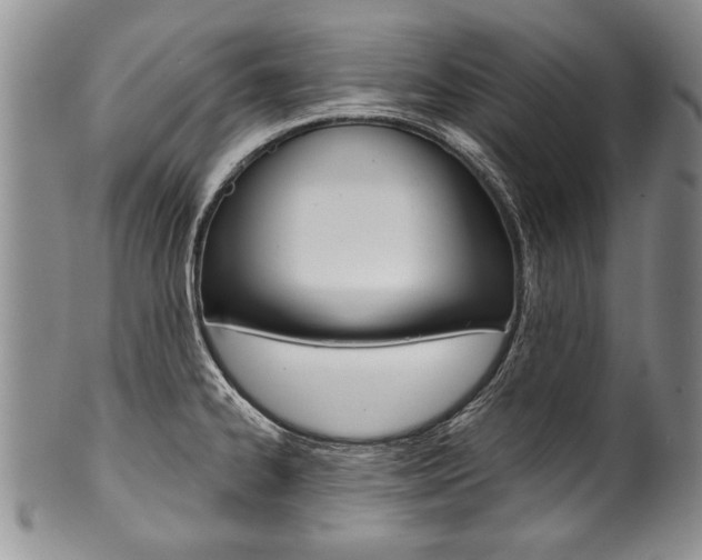X0000101121334200806261036