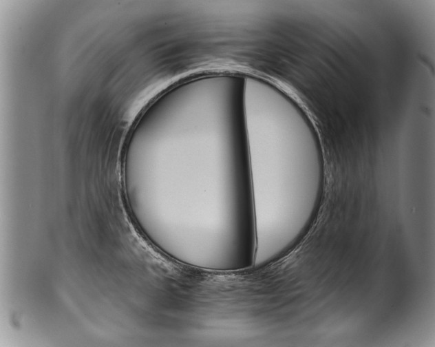 X0000101121335200806261036