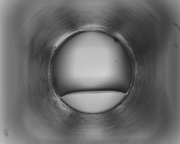X0000101121336200806261036