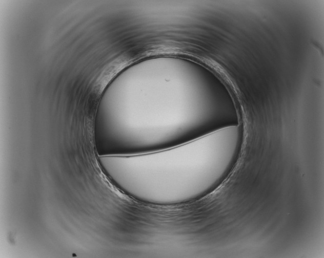 X0000101121337200806261036