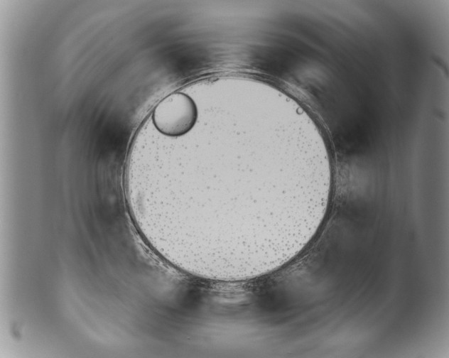 X0000101121338200806261036