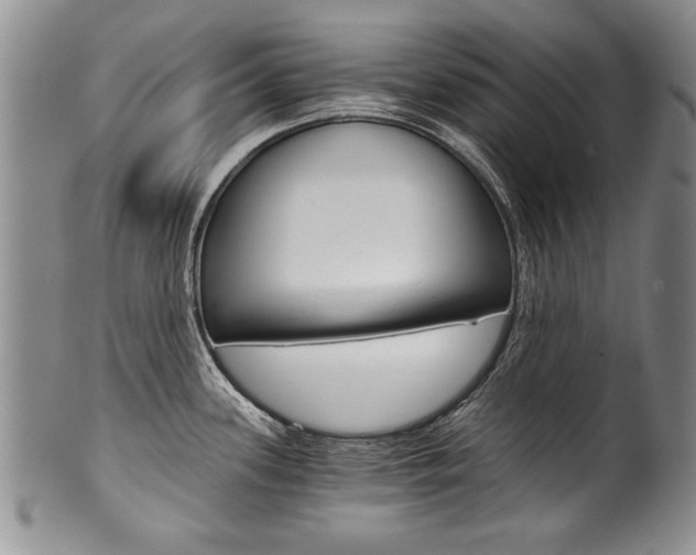X0000101121339200806261036