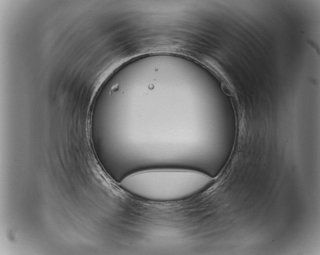 X0000101121340200806261036