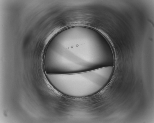 X0000101121341200806261036