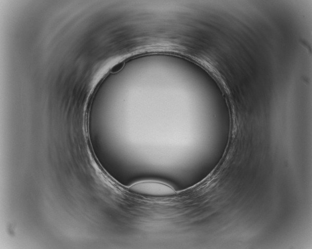 X0000101121342200806261036