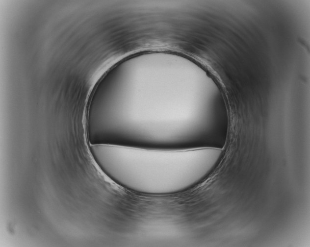 X0000101121343200806261036