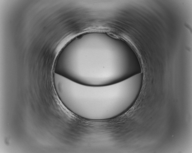 X0000101121344200806261036
