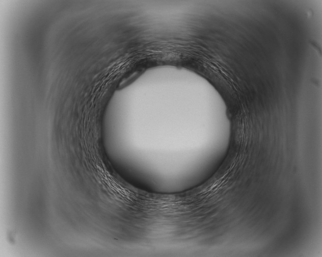 X0000101121345200806261036