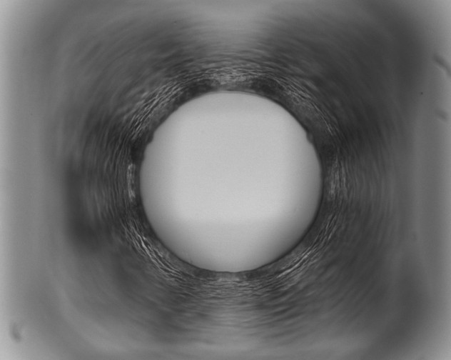 X0000101121346200806261036