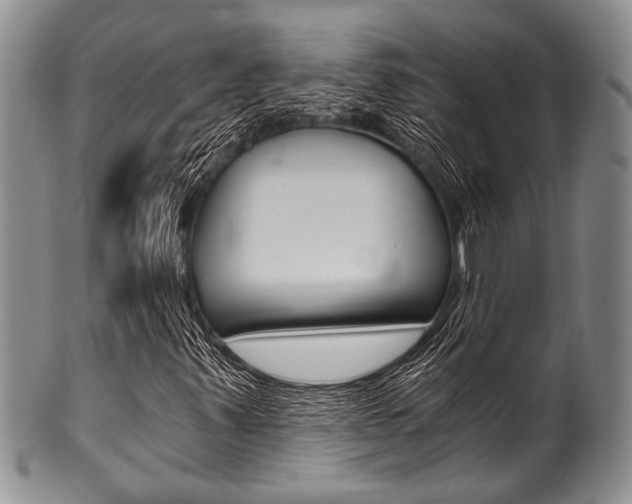 X0000101121347200806261036