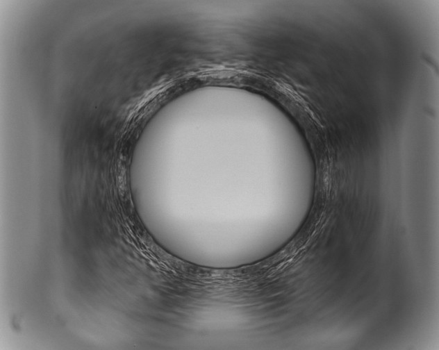 X0000101121350200806261035