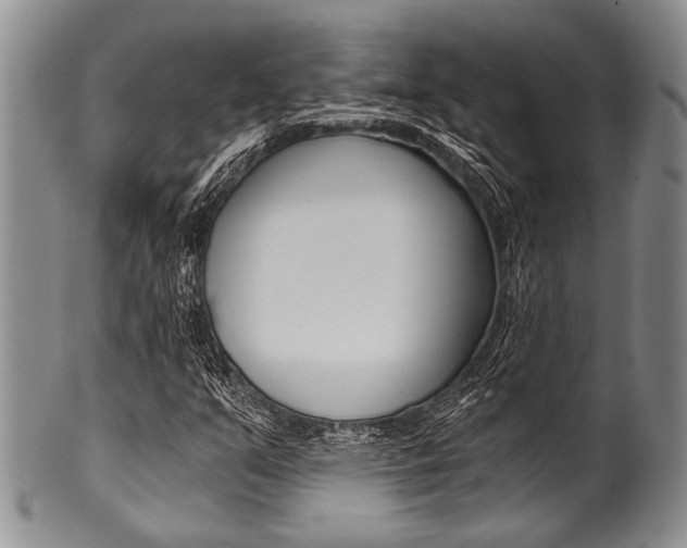 X0000101121351200806261035