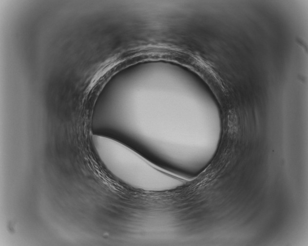 X0000101121352200806261035