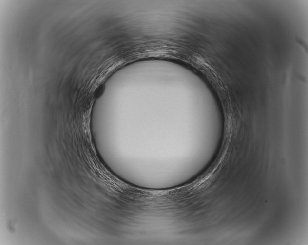 X0000101121353200806261035