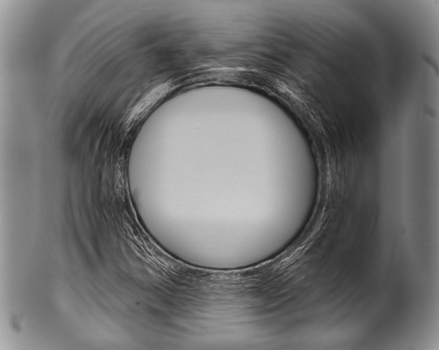 X0000101121354200806261035