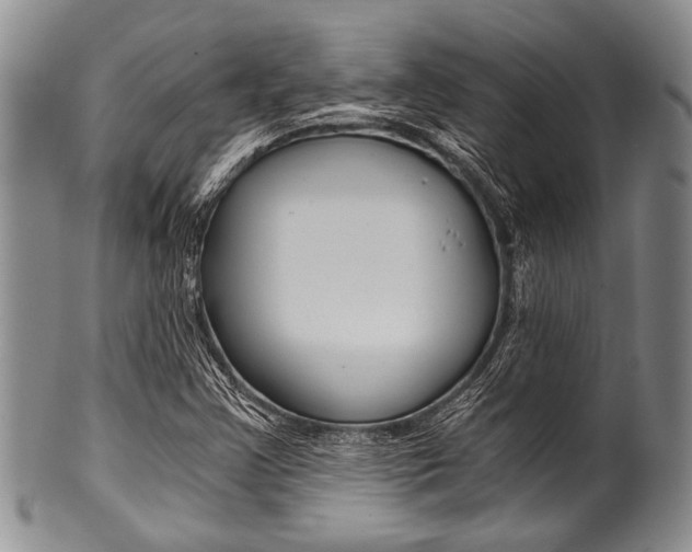 X0000101121355200806261035
