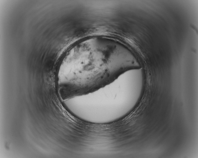X0000101121356200806261035