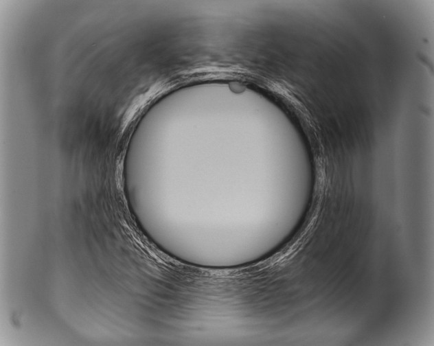X0000101121357200806261035