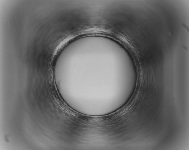 X0000101121358200806261035