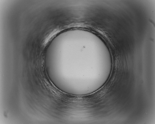 X0000101121359200806261035