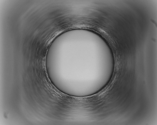X0000101121361200806261035