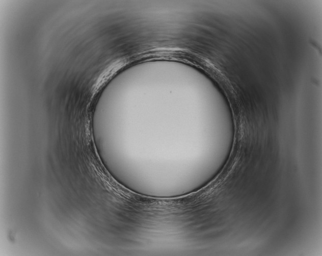 X0000101121362200806261035