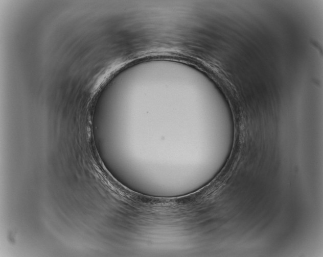 X0000101121363200806261035