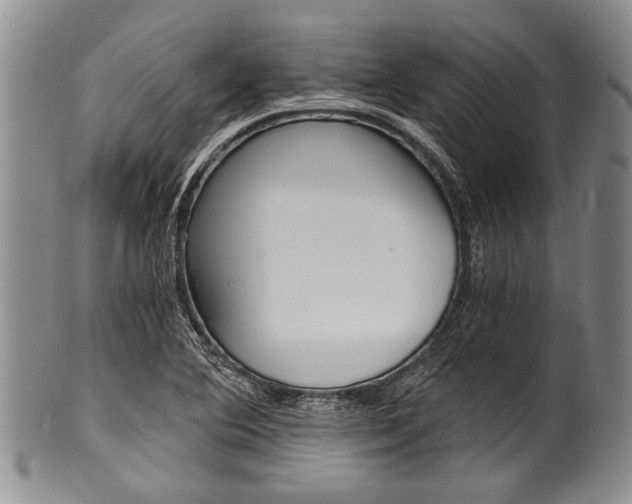 X0000101121364200806261035