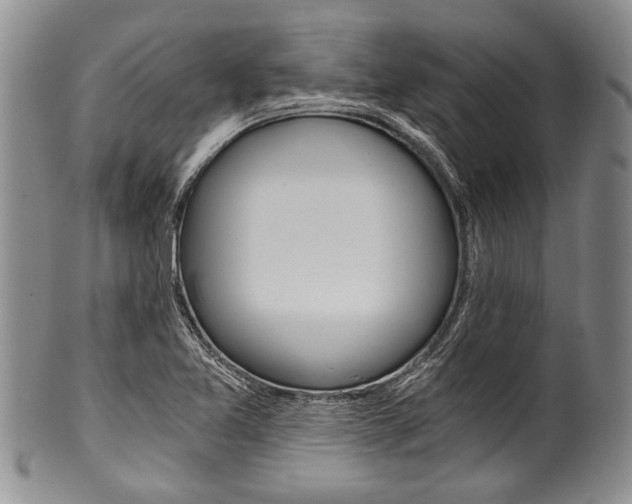 X0000101121365200806261035