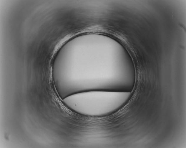 X0000101121366200806261035