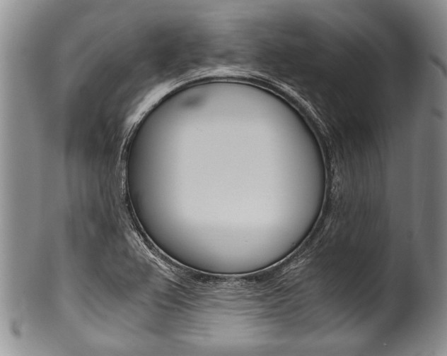 X0000101121367200806261035