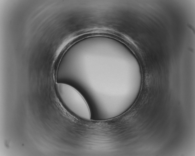 X0000101121368200806261035