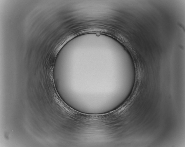 X0000101121369200806261035