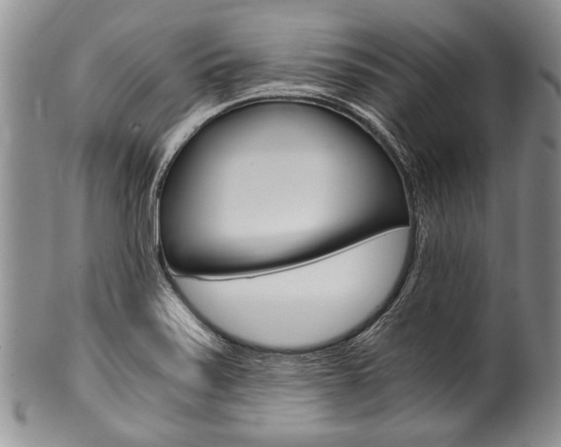 X0000101121371200806261035